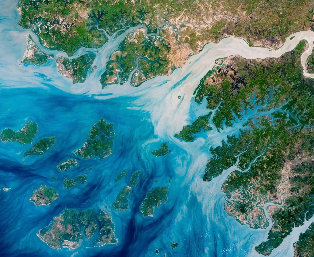 Aerial view of a mangrove-lined coast and tidal channels